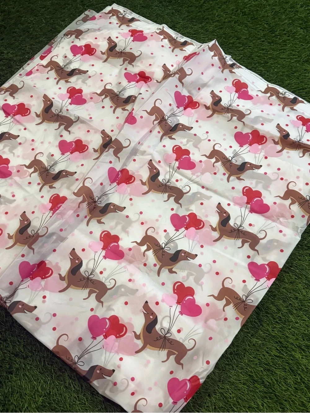 Weiner Dog Valentine Plastic Shower Curtain